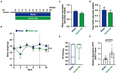 Oral Administration of Flavonifractor plautii, a Bacteria Increased With Green Tea Consumption, Promotes Recovery From Acute Colitis in Mice via Suppression of IL-17
